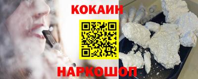 МДПВ Кингисепп