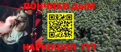 МДПВ Кингисепп