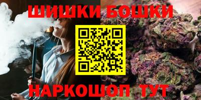 МДПВ Кингисепп