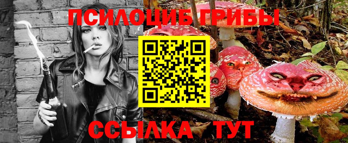 Клинцы  Галлюциногенные грибы Psilocybe  Псилоцибиновые грибы ЛСД  Вход с VPN 