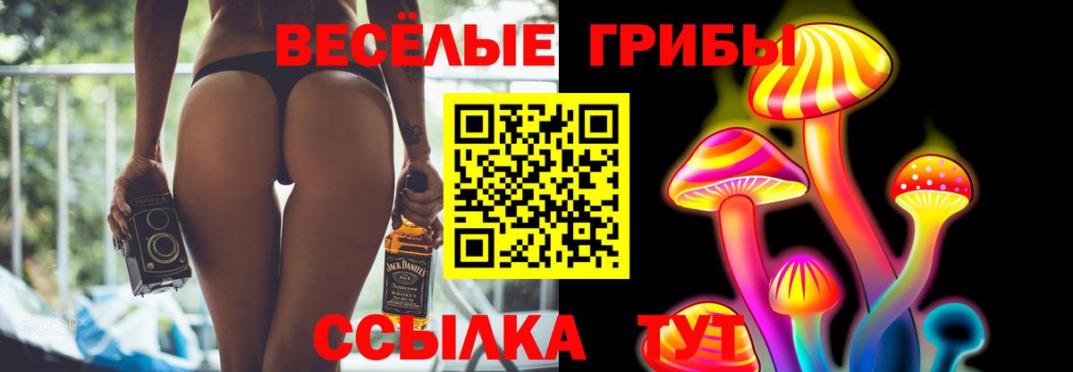 Псилоцибиновые грибы GOLDEN TEACHER Клинцы